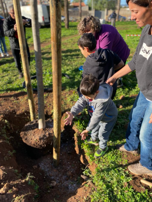 ajuntpalma's tweet photo. 🌳 Més de 150 persones participen a la sembra popular a la zona verda situada al carrer Aragó, 269.👉 La d’avui és la darrera sembra popular de les que s’han anat programat durant tota aquesta tardor a diferents punts de Palma. #Objectiu10000 https://t.co/iWfa81aQ7j