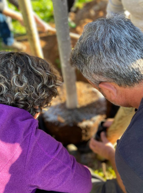 ajuntpalma's tweet photo. 🌳 Més de 150 persones participen a la sembra popular a la zona verda situada al carrer Aragó, 269.👉 La d’avui és la darrera sembra popular de les que s’han anat programat durant tota aquesta tardor a diferents punts de Palma. #Objectiu10000 https://t.co/iWfa81aQ7j