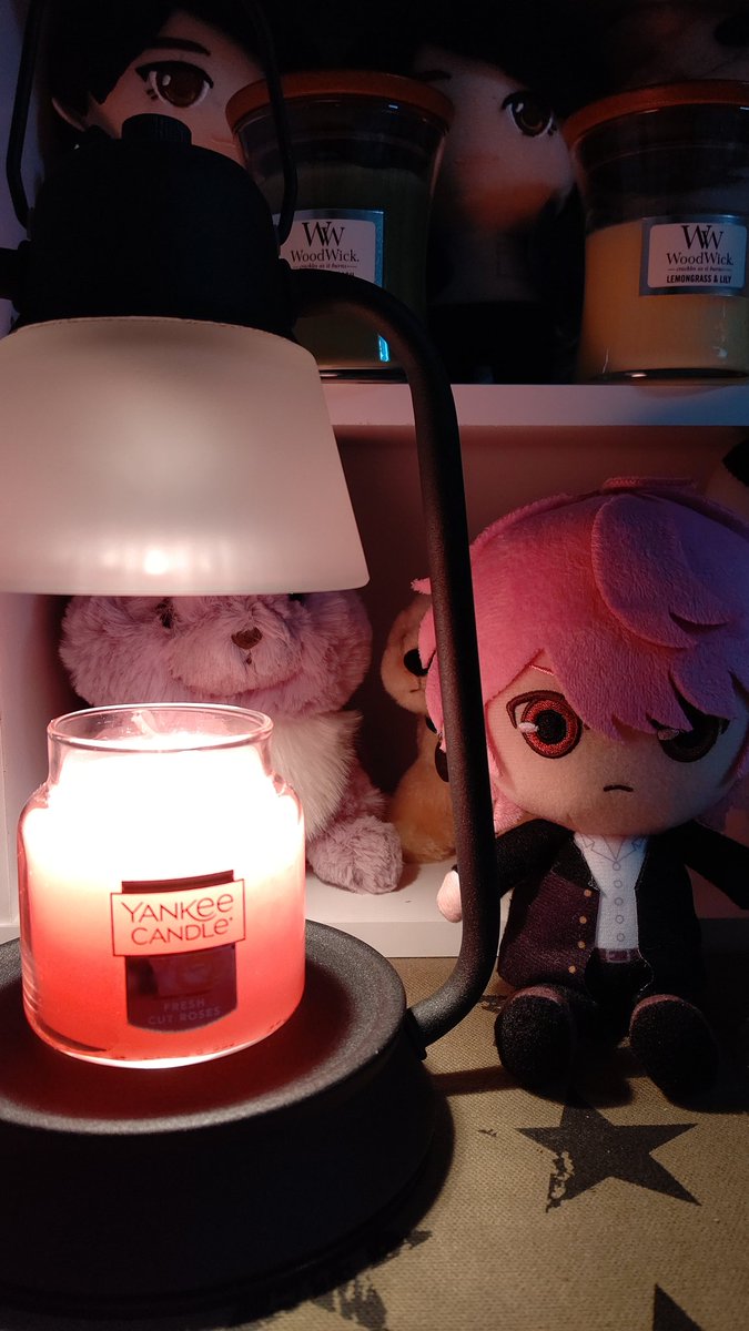 angelyuppi's tweet photo. ゆりゆり色の
#FRESHCUTROSES
も買ったよ☺️
本物のバラの香りする🤩
キャンドルウォーマー、黒にしてよかった。ピンクにも似合うわ🥰
#流々自適
#横浜流星
#カメヤマローソク https://t.co/z7TfbTpSsm