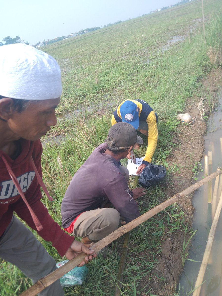Syawaludin3687's tweet photo. Yuk ngopi-ngopi sambil nambah seduluran dan sinergi ilmu yg bermanfaat bagi petani dan masyarakat
Dg berTani sehat dan menyehatkan yg murah, mudah, dg berjamaah insyaallah hasil melimpah dan berkah
#KolbuSejahtera
#JamuBumiNusantara
#BerasSehat https://t.co/ZrPsLolS8G