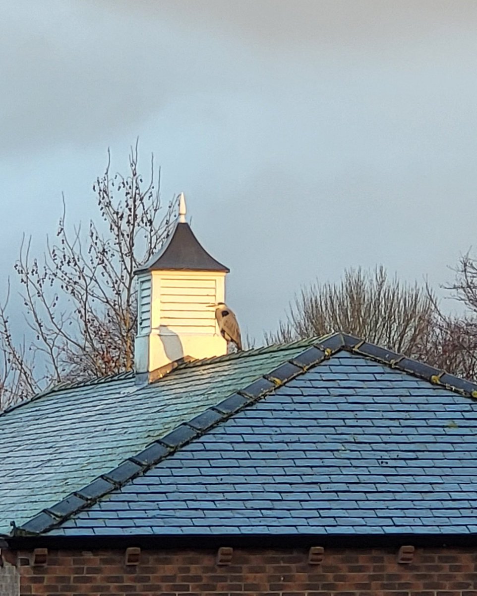 AntonioAstro ☀️🔭 tweet media