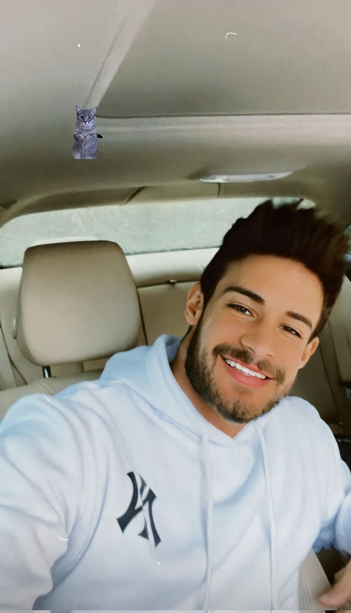 Kedi olduğunu kabullenmiş diye yorumladım :) 

#BatuhanKaracakaya