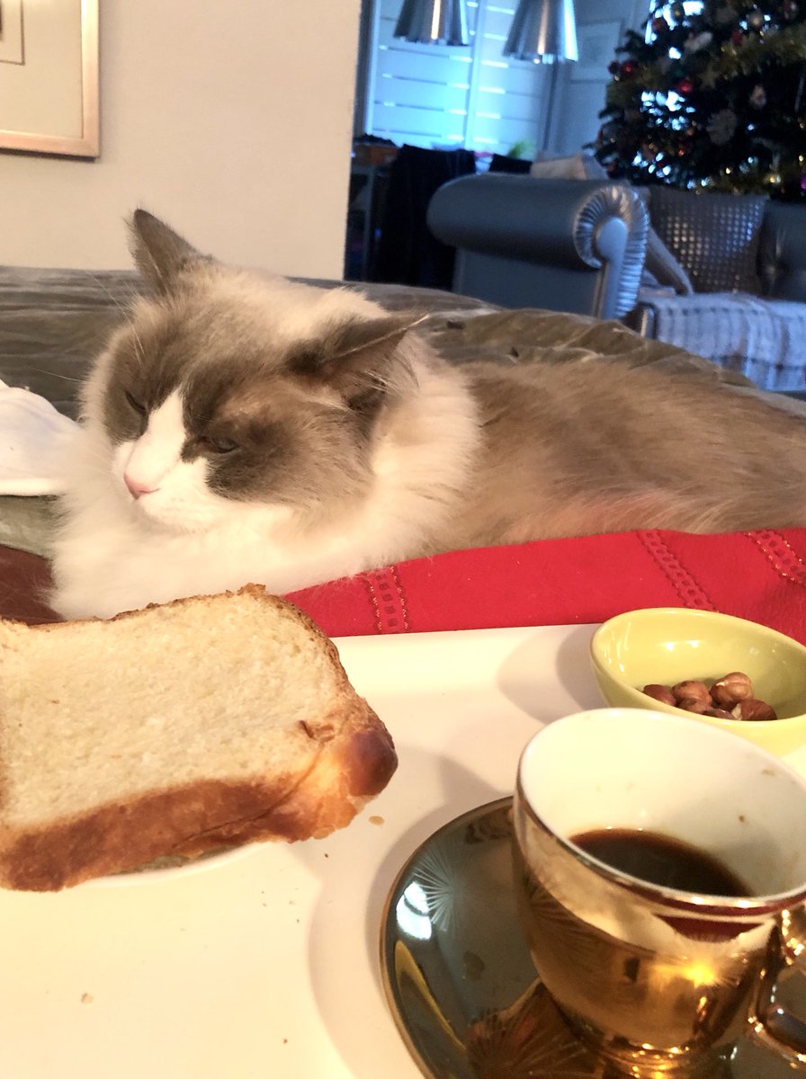 Dominique LUNEL tweet media