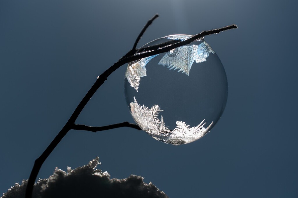 Matt__pro's tweet photo. Frozen soapbubbles.

 #bubbleworld #seifenblasen #frozenbubbles #giantbubbles #winter #instaart #macro #soapsqueezing #rainbow #cleanser #soapmaker #frozenbubblephotography #soapbubbles https://t.co/hMfE80s91Y https://t.co/YElUrydJzf