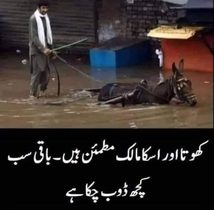 DanizEmil's tweet photo. @ImranRiazKhan https://t.co/ftL24OtbEV