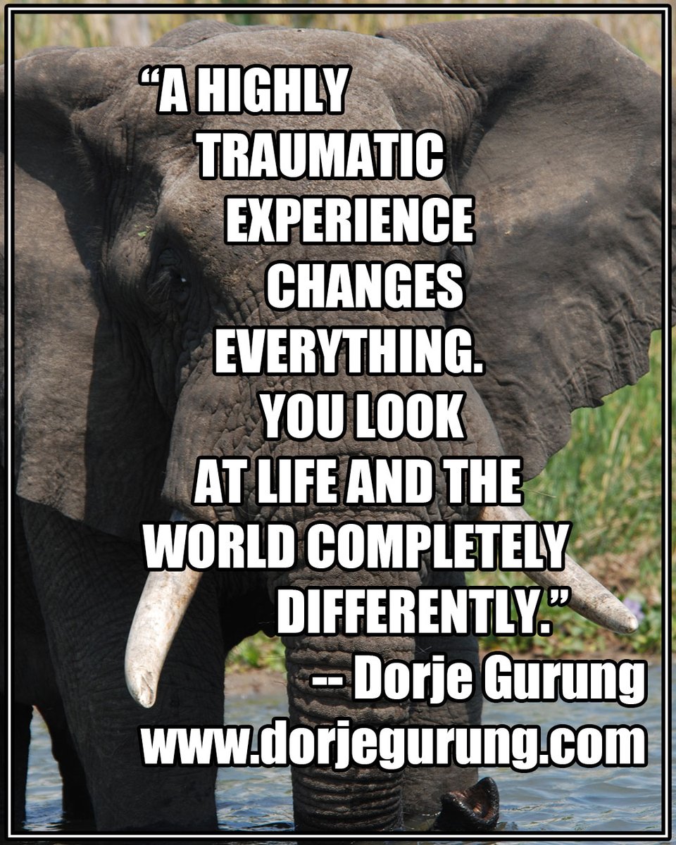 Dorje_sDooing's tweet image. 1 of d MOST important things one can do to recover from #Trauma is to change/modify one's #ThinkingPatterns.
They change when #BehavioralPatterns change,
which in turn change with DRAMATIC modifications to what 1 does, who one spends time w/, & what 1 talks abt--on a daily basis.