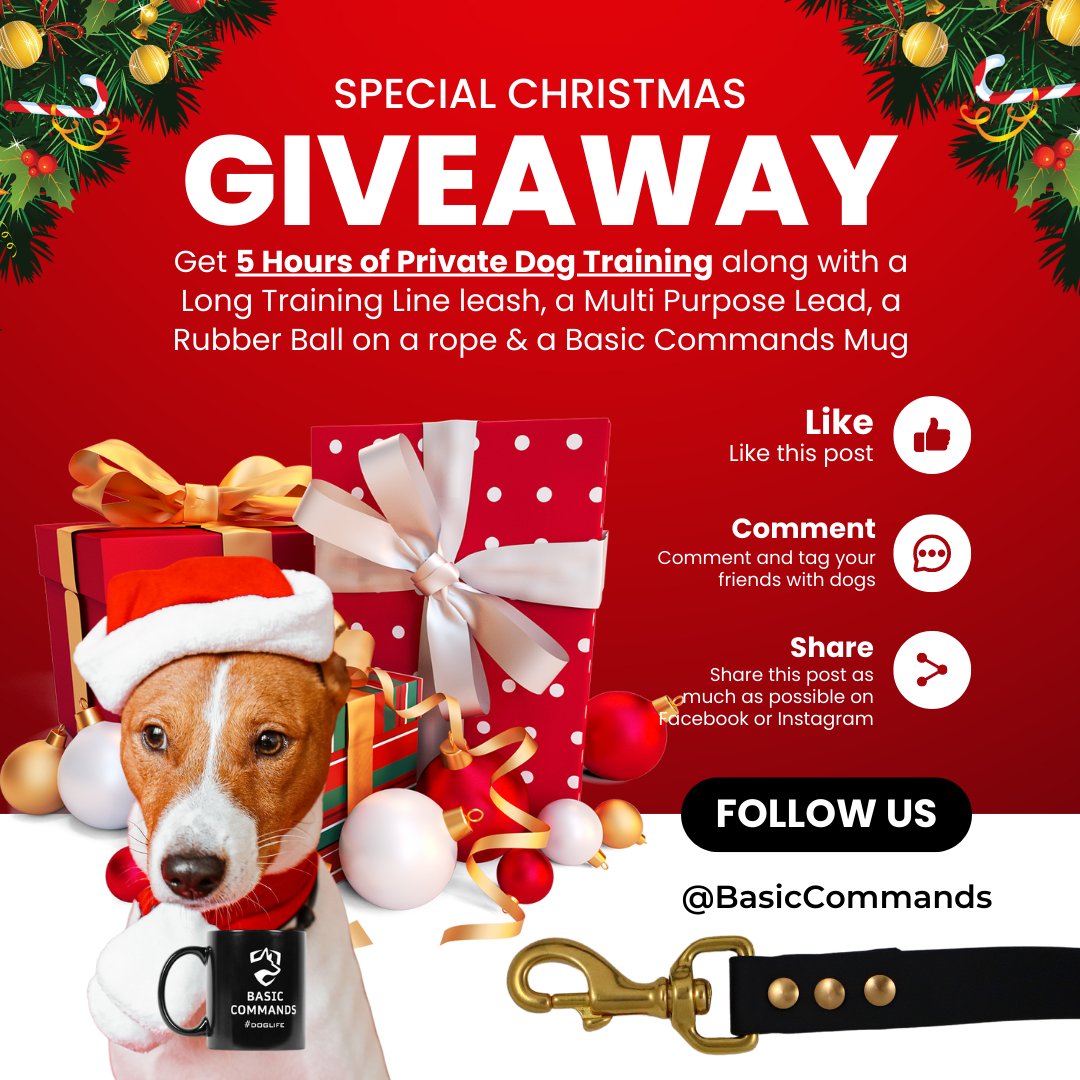 BasicCommands's tweet image. 🎄 CHRISTMAS #GIVEAWAY 🎄
We're giving away a Dog Training Package worth over £300
Details loom.ly/vnIGKI8
✨ Just LIKE, REPOST & TAG your friends in the comments & we will select the winner on December 31st at midday ready to work with you & your #dog in the New Year!