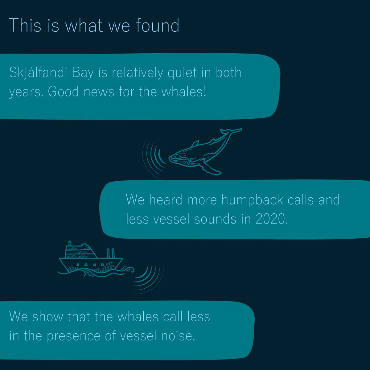 Whale Wise tweet media