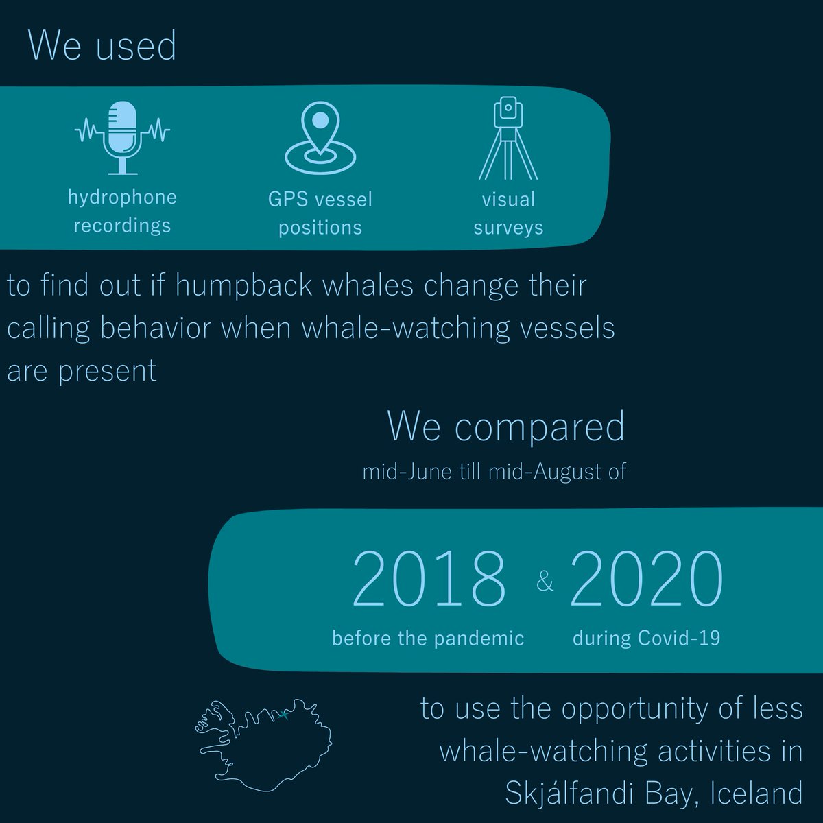 Whale Wise tweet media