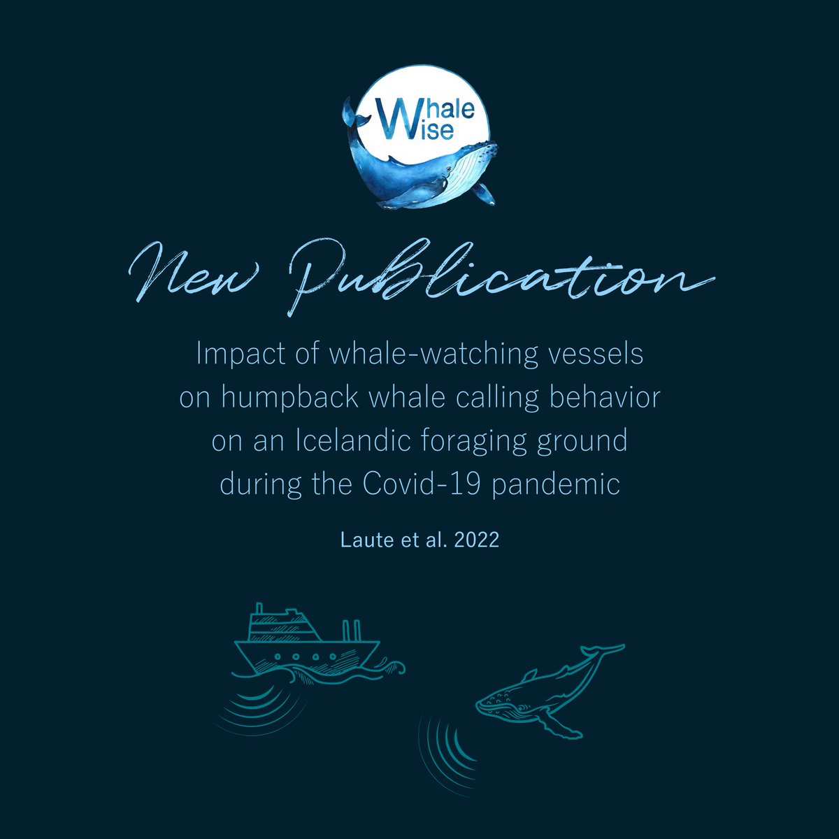 Whale Wise tweet media