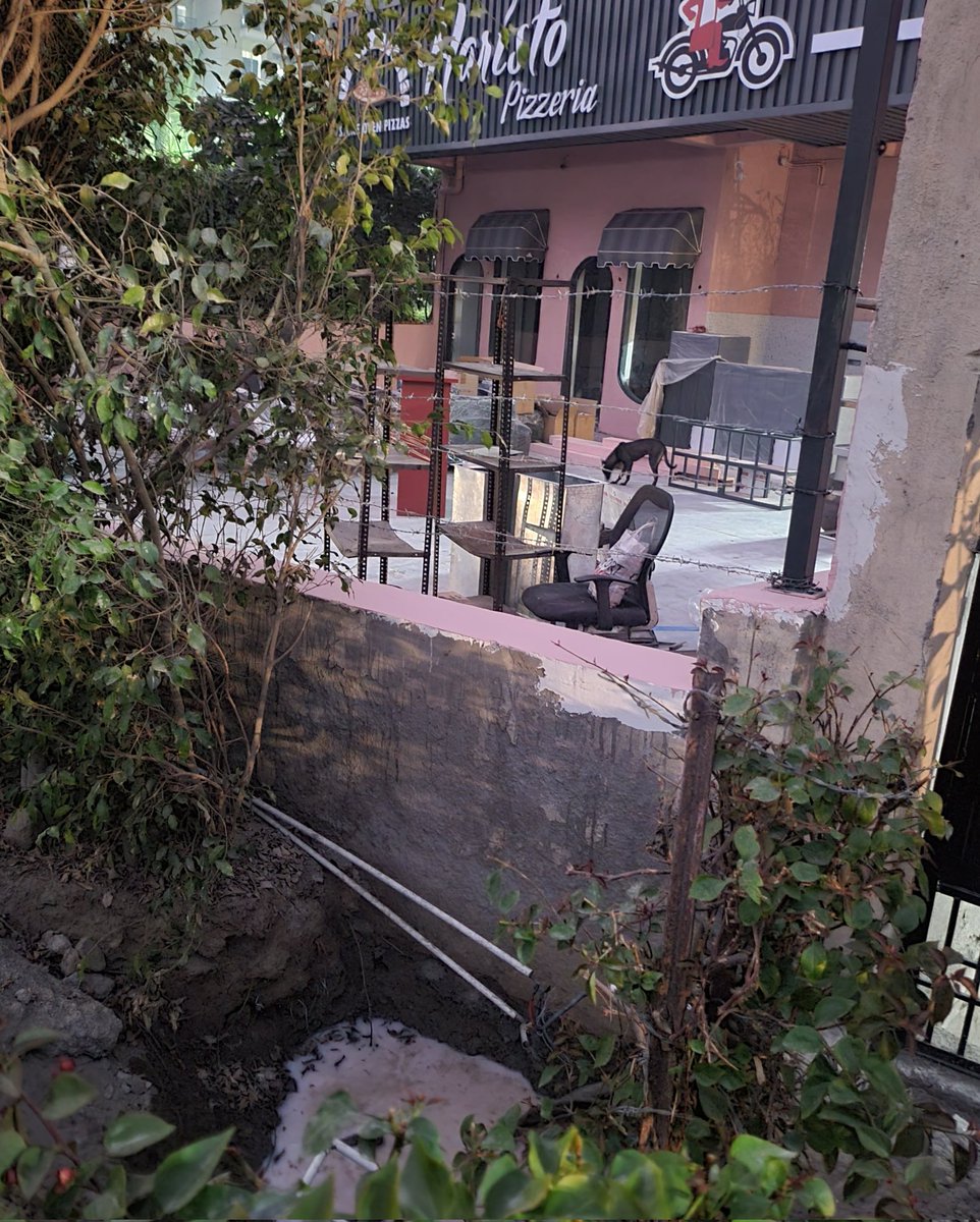 75Issues's tweet image. @noida_authority  Second Society Shop built near ExitGate of ApexAthena Sector75 a Nghtmare for Residents once RESTAURANT starts operating on 23/12/22
@CeoNoida is this not misuse of Society Shops?
Grown up Ficus Trees Uprooted Without Pemission @UpforestUp
#MISUSE SOCIETY SHOPS