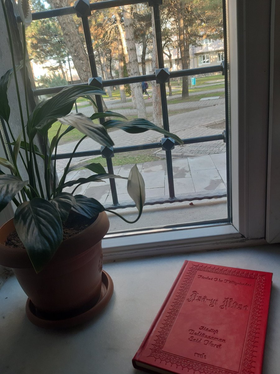 Ölüm sekeratı uyandırmadan evvel uyan! #rnk