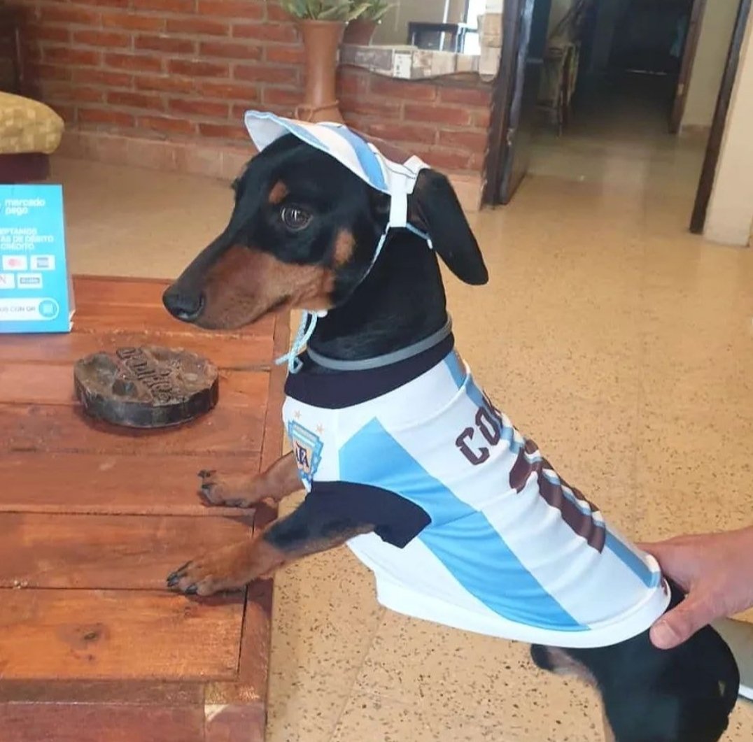 ES HOY. Do it for him

#ArgentinaVsFrance #Qatar2022 #FIFAWorldCup #Messi𓃵 #Mbappe #QatarWorldCup #Argentina