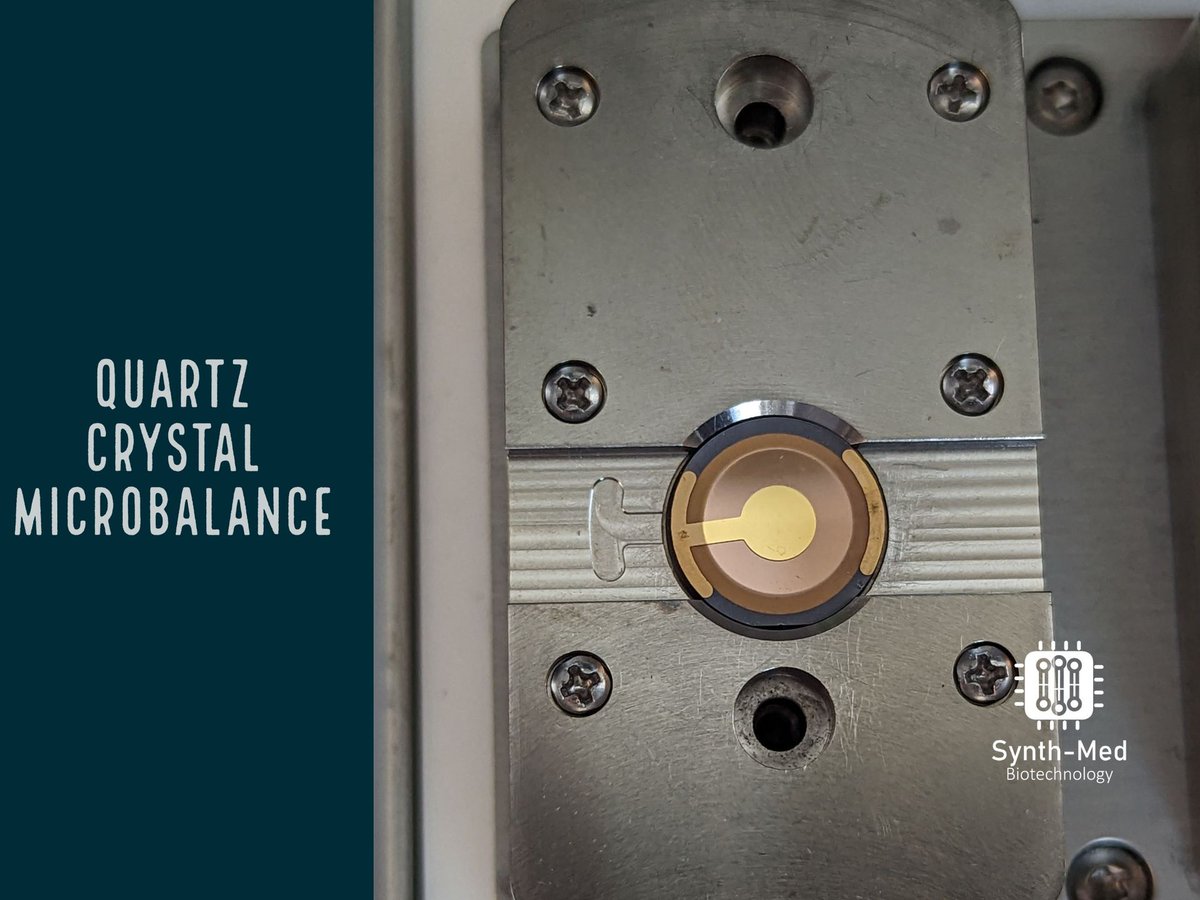 Synth-Med Biotechnology tweet media