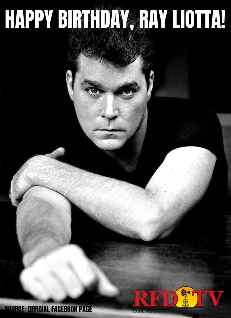 Happy Birthday to the late Ray Liotta!  