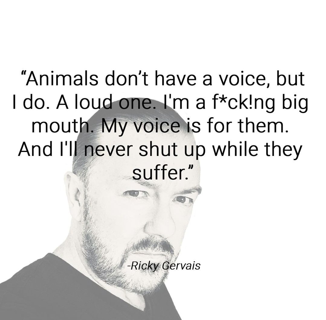DrFarazHarsini's tweet photo. More of us should be like @rickygervais! We must speak up and use our voice and platforms for animals. They can't defend themselves, and they need us to be their voice! ✌️ https://t.co/tMrnX0ecO5