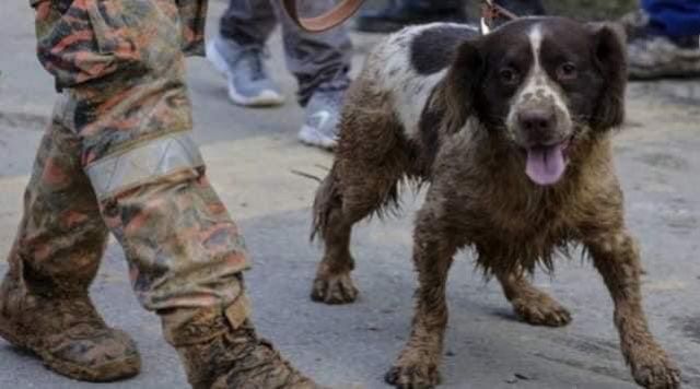 channelnewsasia.com/asia/malaysia-…
Pic: Selangor Bomba