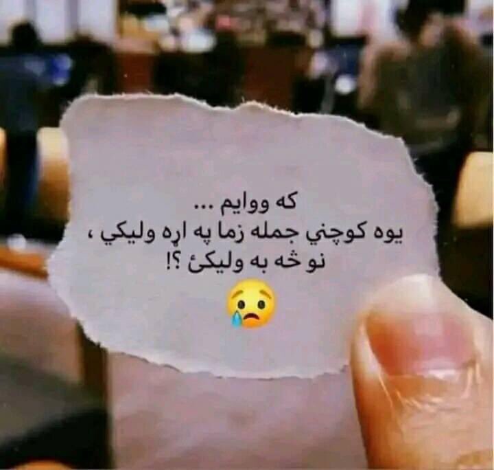 Maryam Wafa tweet media
