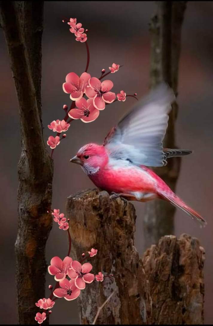 John Garica (@johnson66461122) on Twitter photo 