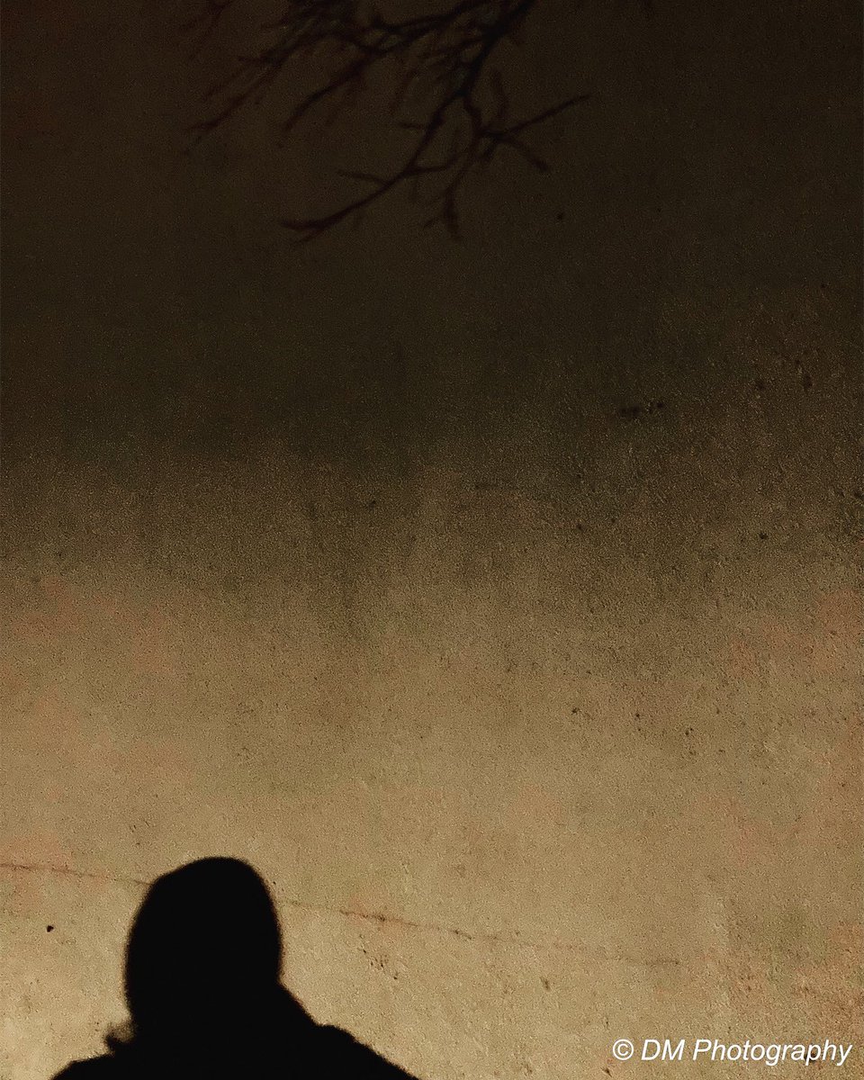 DMPhotosGalway's tweet photo. #selfportrait #eveningwalk #shadow #silhouette https://t.co/v6M0oS6lFY