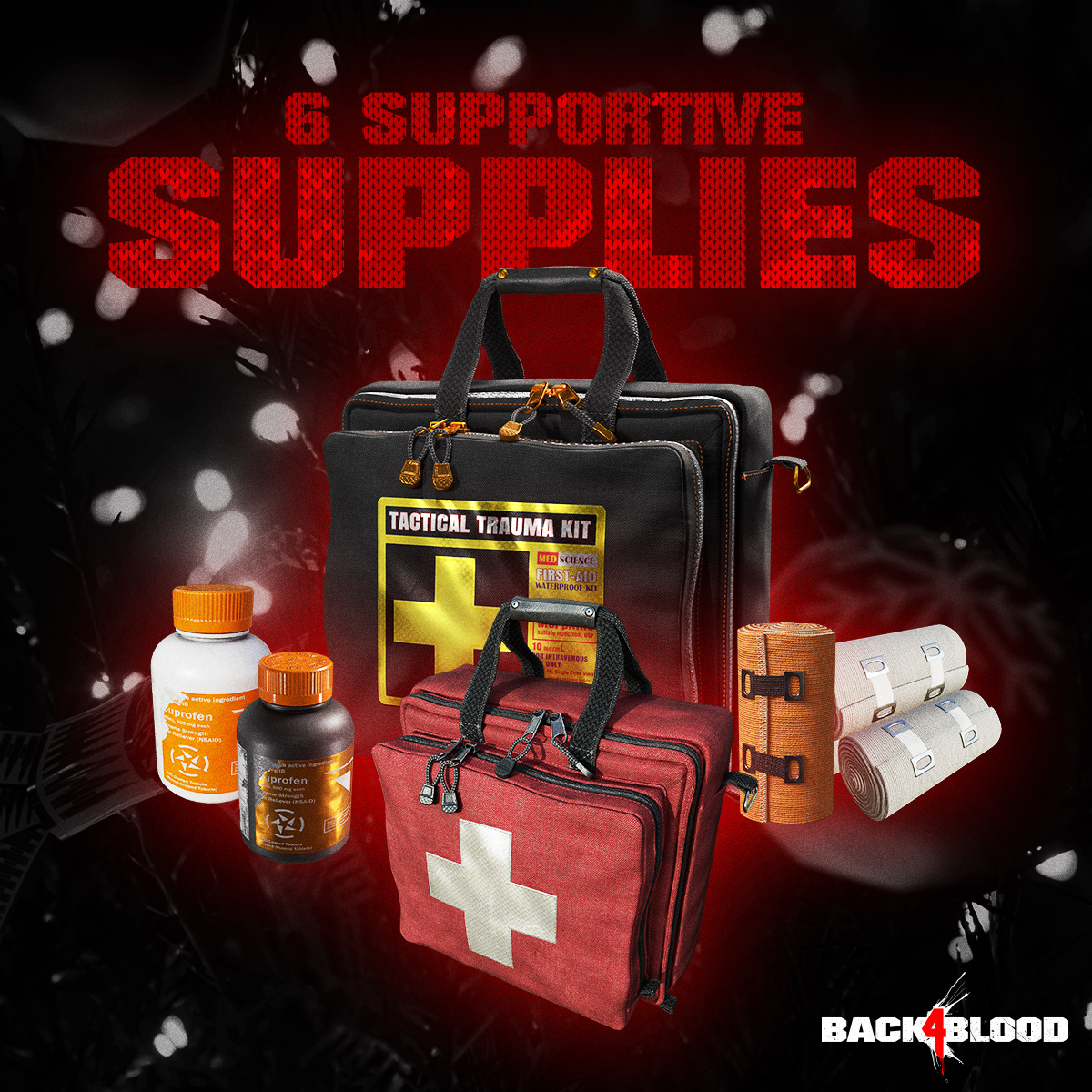 On the sixth day of Riddenmas, Phillips gave to me: six supportive supplies.