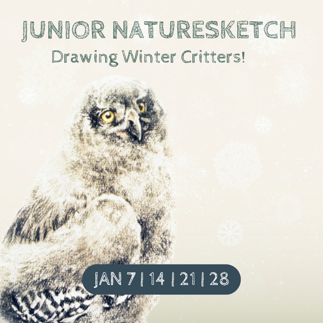 batemanfdn's tweet image. Join us in January for Junior NatureSketch Online! The 4-week course will study 4 different winter animals 🦉 ❄️ 

Sign up 👉 register.naturesketch.org/product/jrnso-…

#learntosketch #robertbateman #art #nature #drawing #natureart #artclassesyyj #artclasses #VictoriaBC #thingstodoyyj #wildlifeart