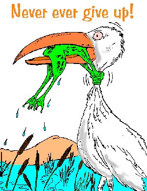 oshif1961's tweet photo. But the bird got the frog in the end - what a game ! https://t.co/fN4hPLECXP