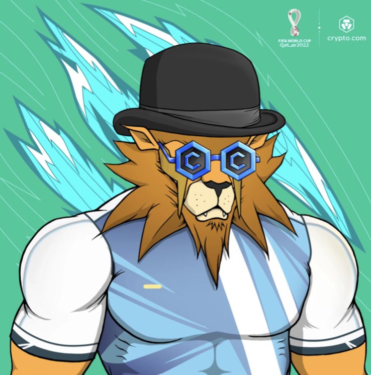 Lfg! #Argentina! What a match! #MatchReadylions  show me your Argentina kit!