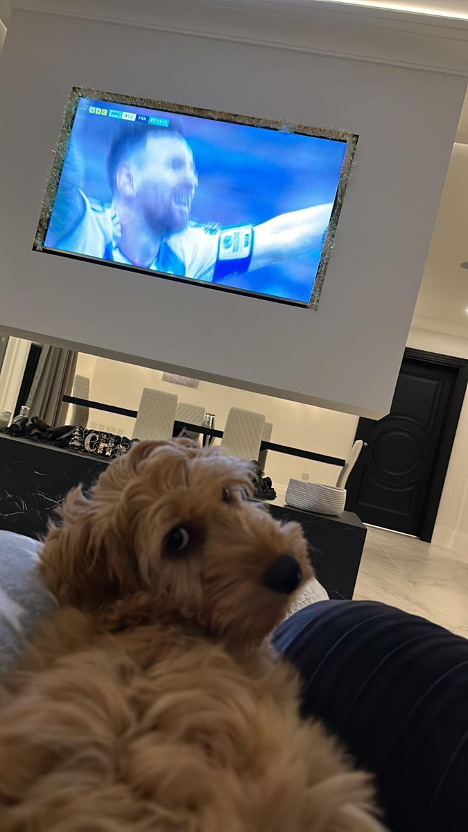 its_ralphstar's tweet photo. Told dad he should’ve put a fiver on it 🙄 https://t.co/LlpcwClDZS