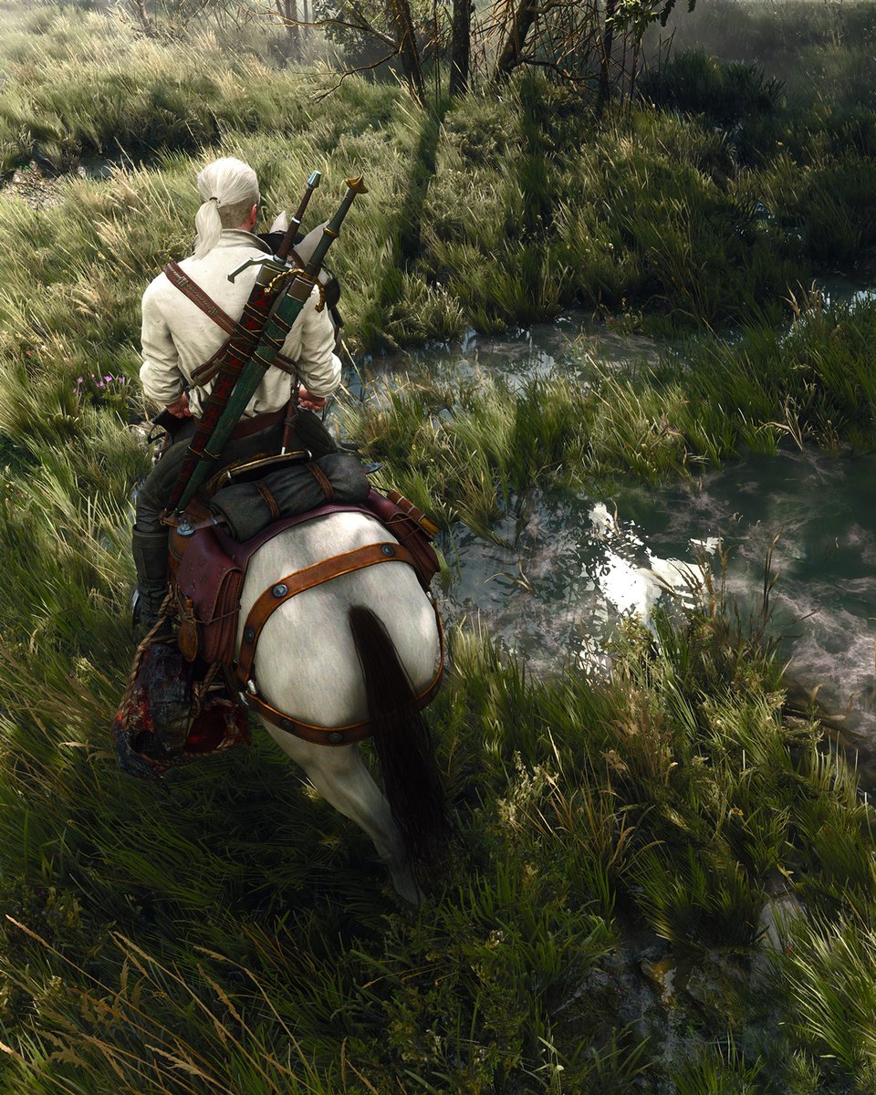 Berduu's tweet photo. The Witcher 3 https://t.co/t4vsf1boAG