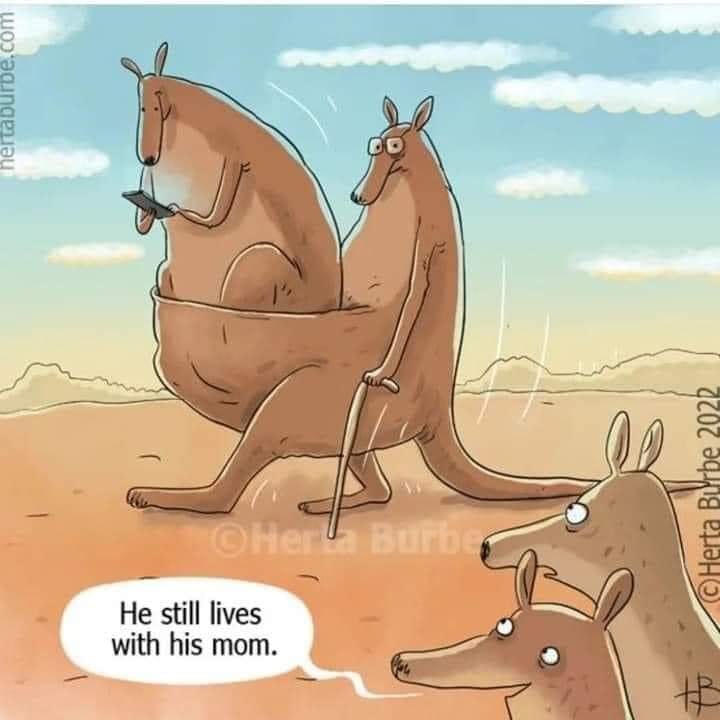 DeeDeeMcCracken's tweet image. 