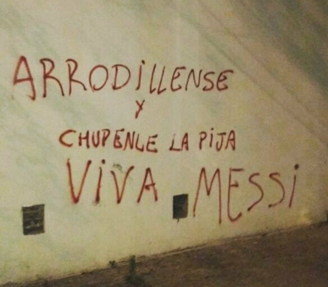 Alejo 🌟🌟🌟 tweet media