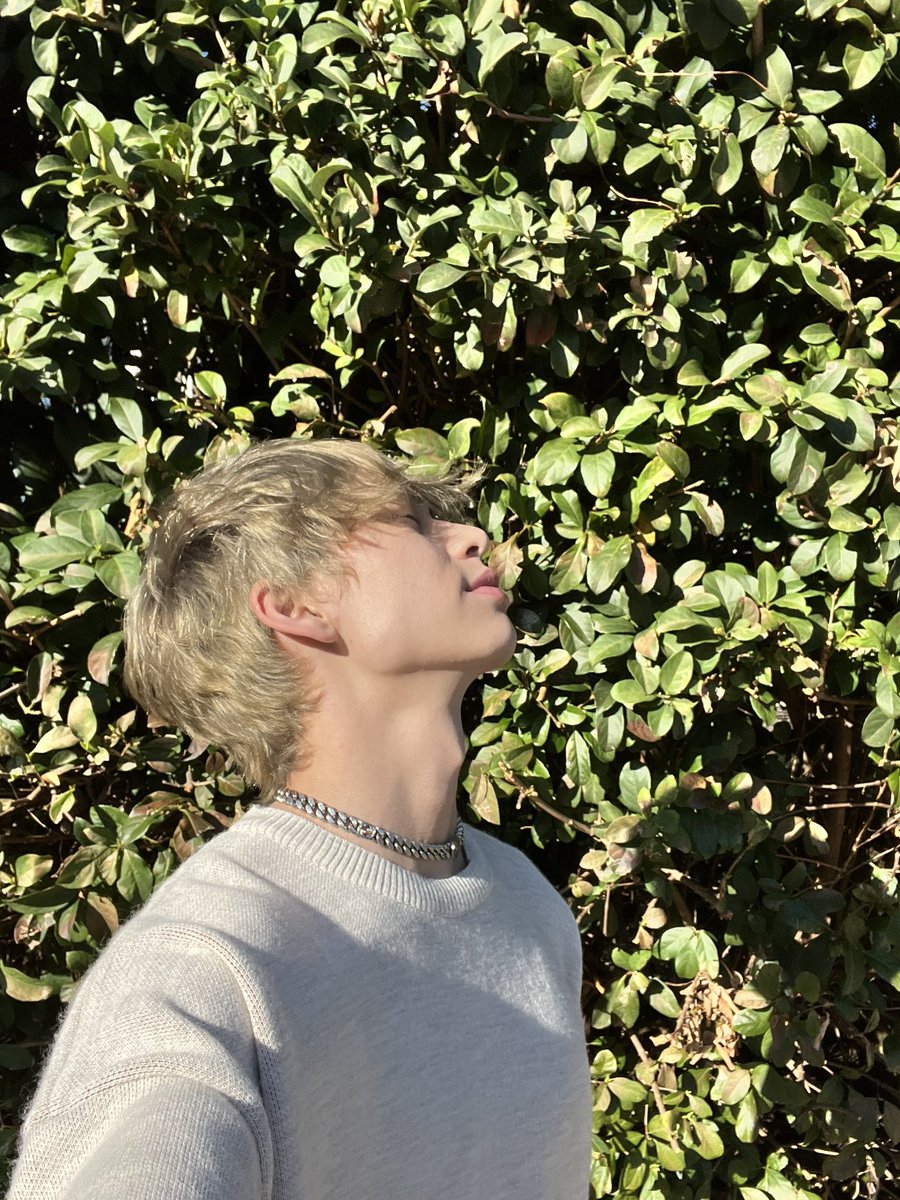 JAHVER's tweet photo. blonded https://t.co/WeIoHe8trT
