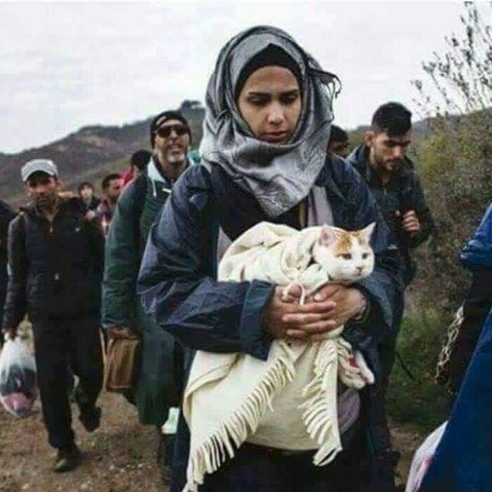 كل أحد ميسر لما خُلق له،
هناك لاجؤون سوريون هاجروا بقططهم بما أودع الله في قلوبهم من الرحمة،
وهناك منظمات إنسانية عالمية وإسلامية وعربية تهتم باللاجئين،
حقوق الحيوانات ليست ترفاً ولاتتعارض مع حقوق البشر،
كل روح ضعيفة في طريقك سواء أكانت إنسان أو حيوان هي اختبار لك،
فهل نجحت أنت؟!