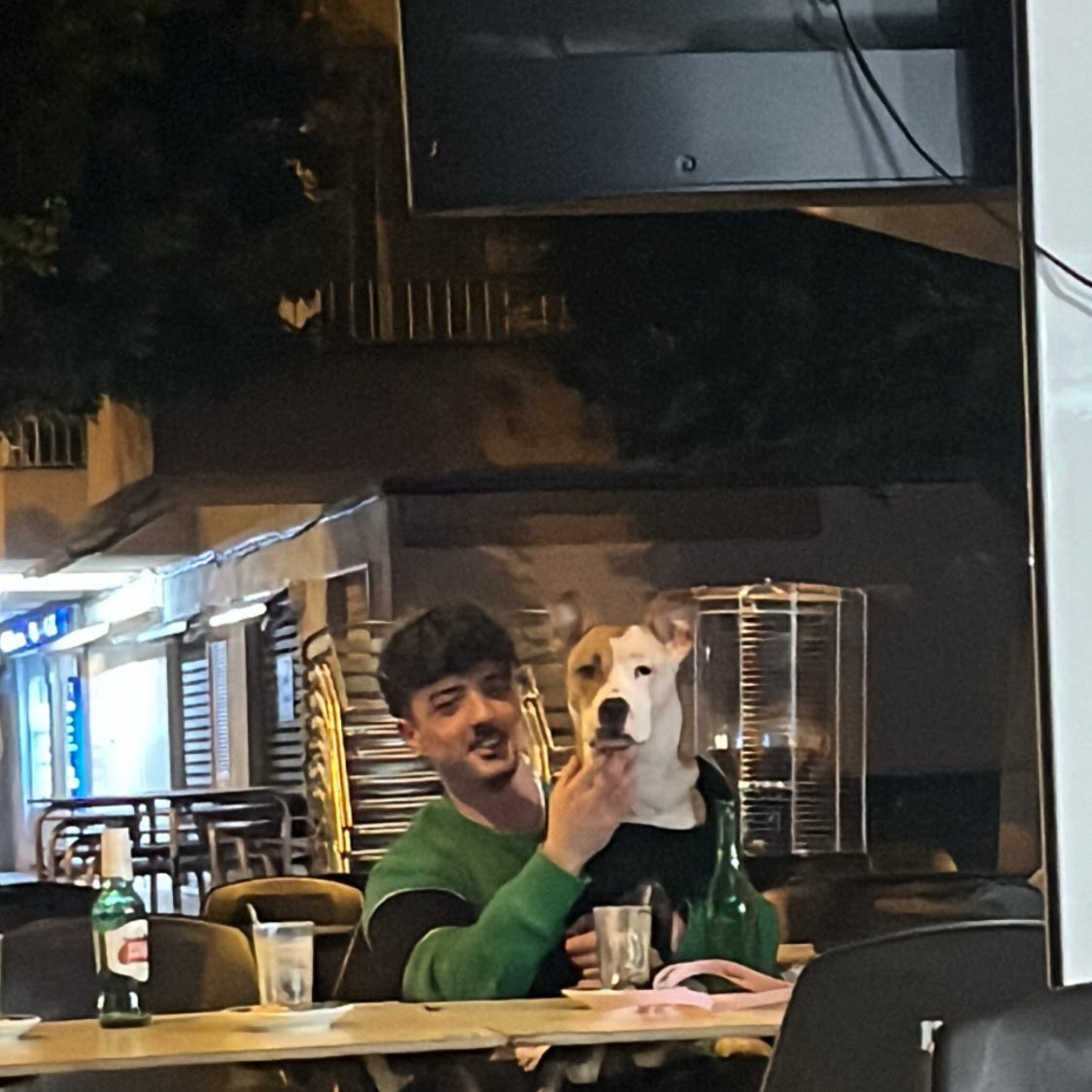 Bitacoracoffee's tweet photo. Aquí,todos pendientes del fútbol🐶. https://t.co/EHcbNT1DYh