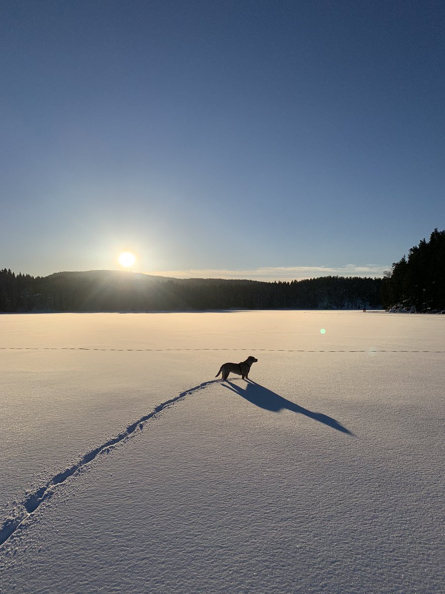 #MerNatur 💚❄️