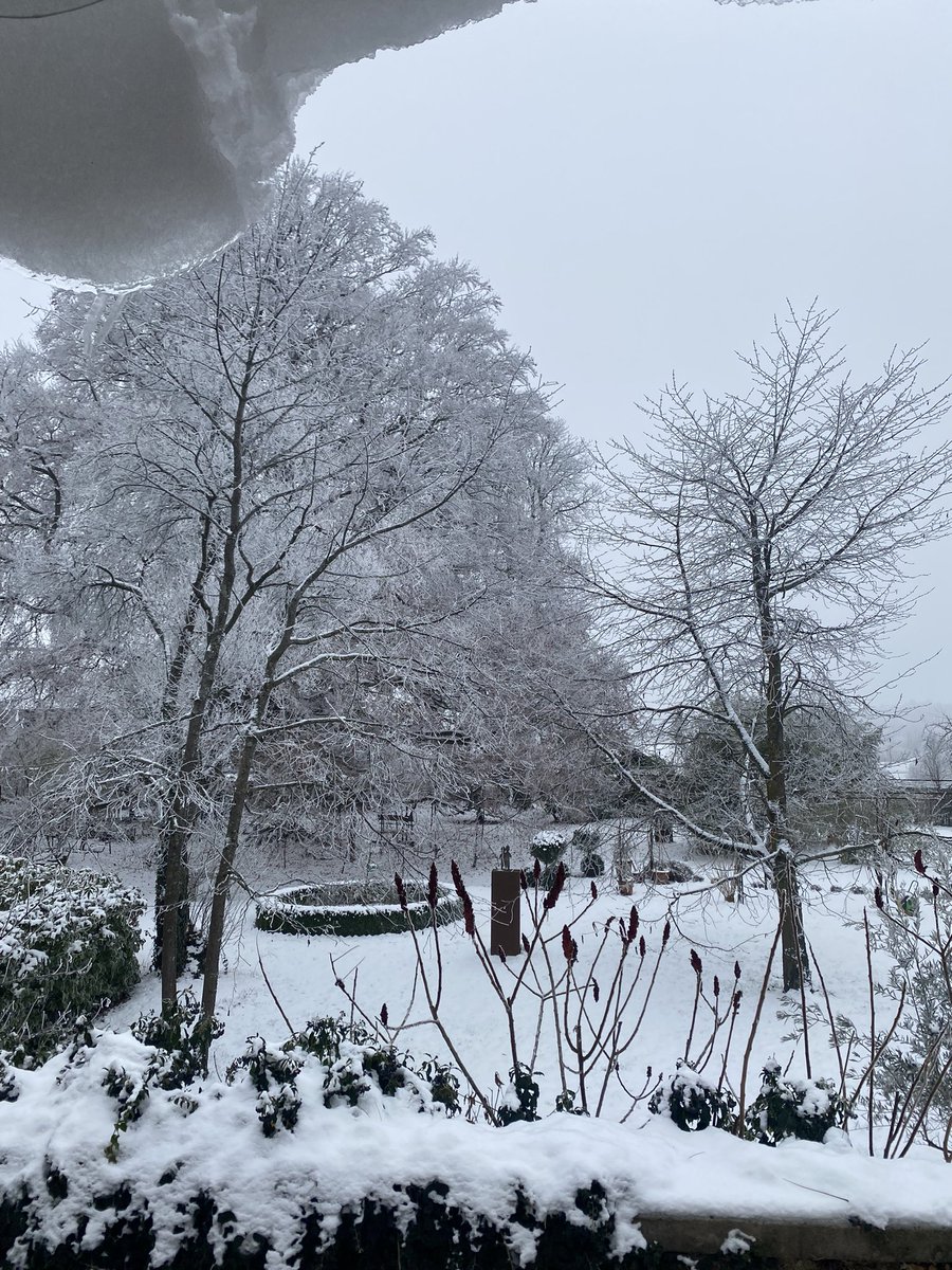 Un dimanche comme j’aime 😍 #alsace #winter #mittelbergheim #sunday