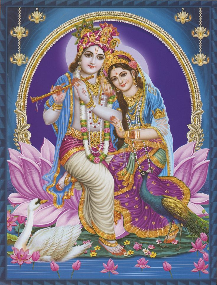 🌿ॐ नमो भगबते बासुदेबाय🌿
     🌿जय श्री राधे कृष्णा 🌿
          🌿🌺🙏🌺🌿
           सुभ संध्या मित्रो 🙏🚩