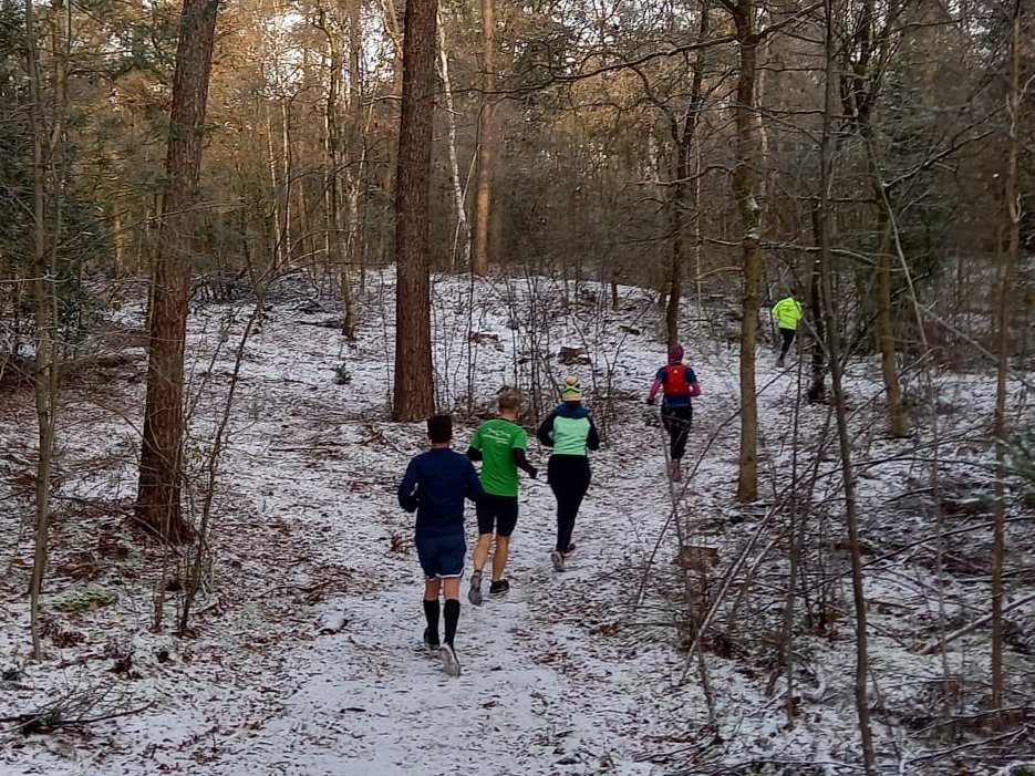 Plus Oudejaars Crossloop Vorden tweet media