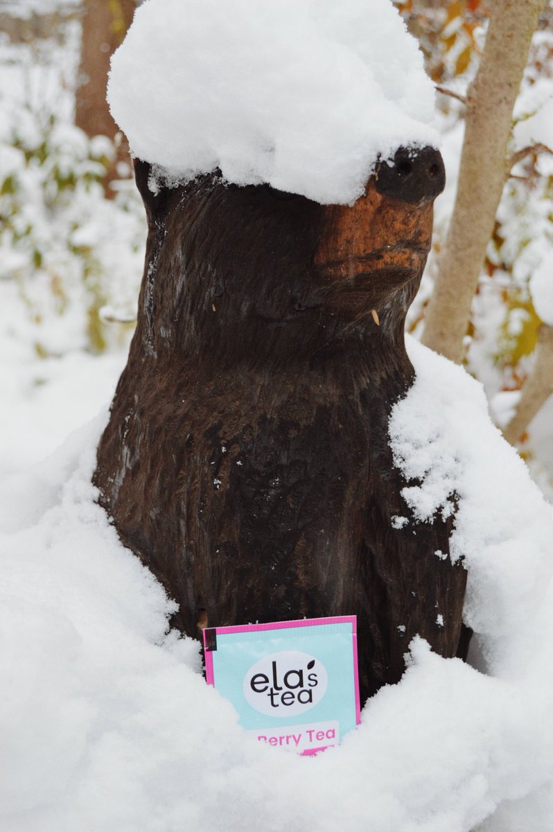 elasteacompany's tweet photo. Warm up with Ela’s Berry tea. Don’t just hibernate.   #elastea #tea #snow #berry #sunday https://t.co/NdNDp7is1y