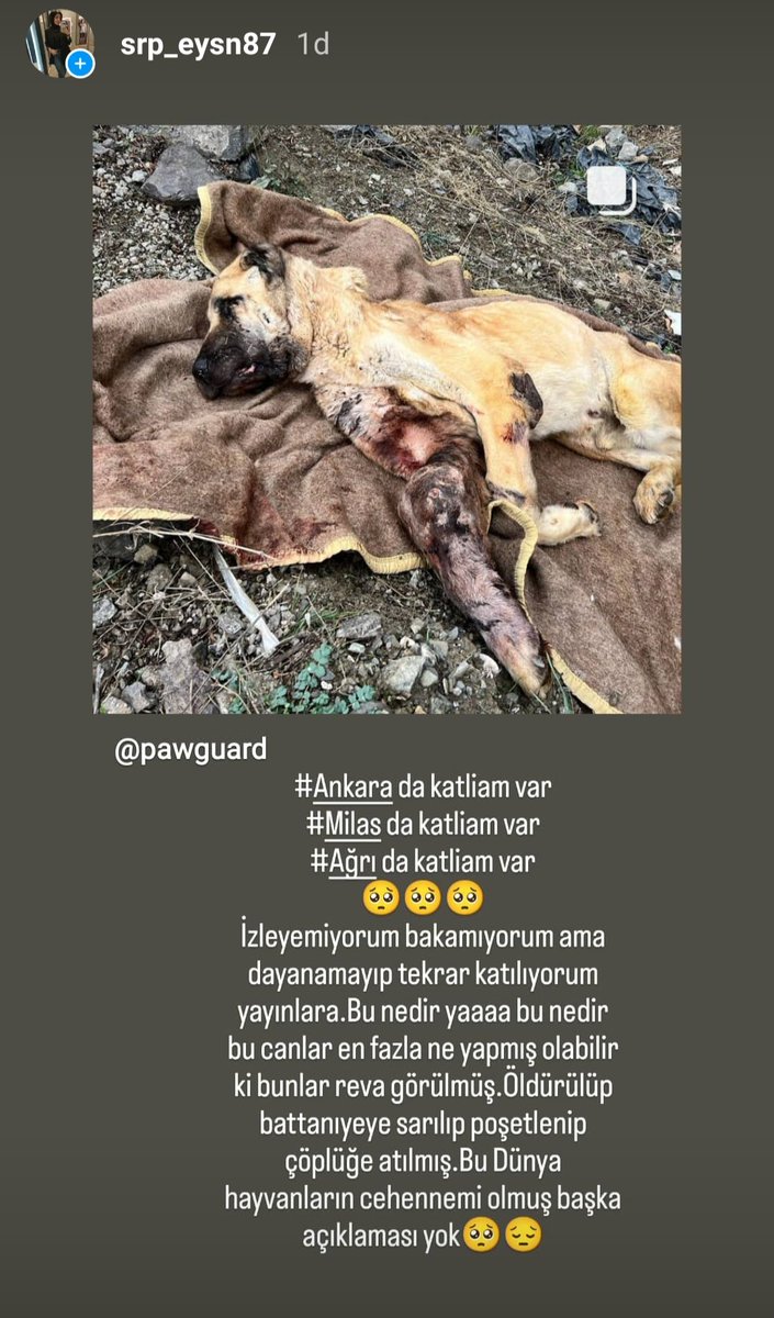 #Ankaradakatliamvar
#milastakatliamvar
#Ağrıdakatliamvar
🥺🥺🥺