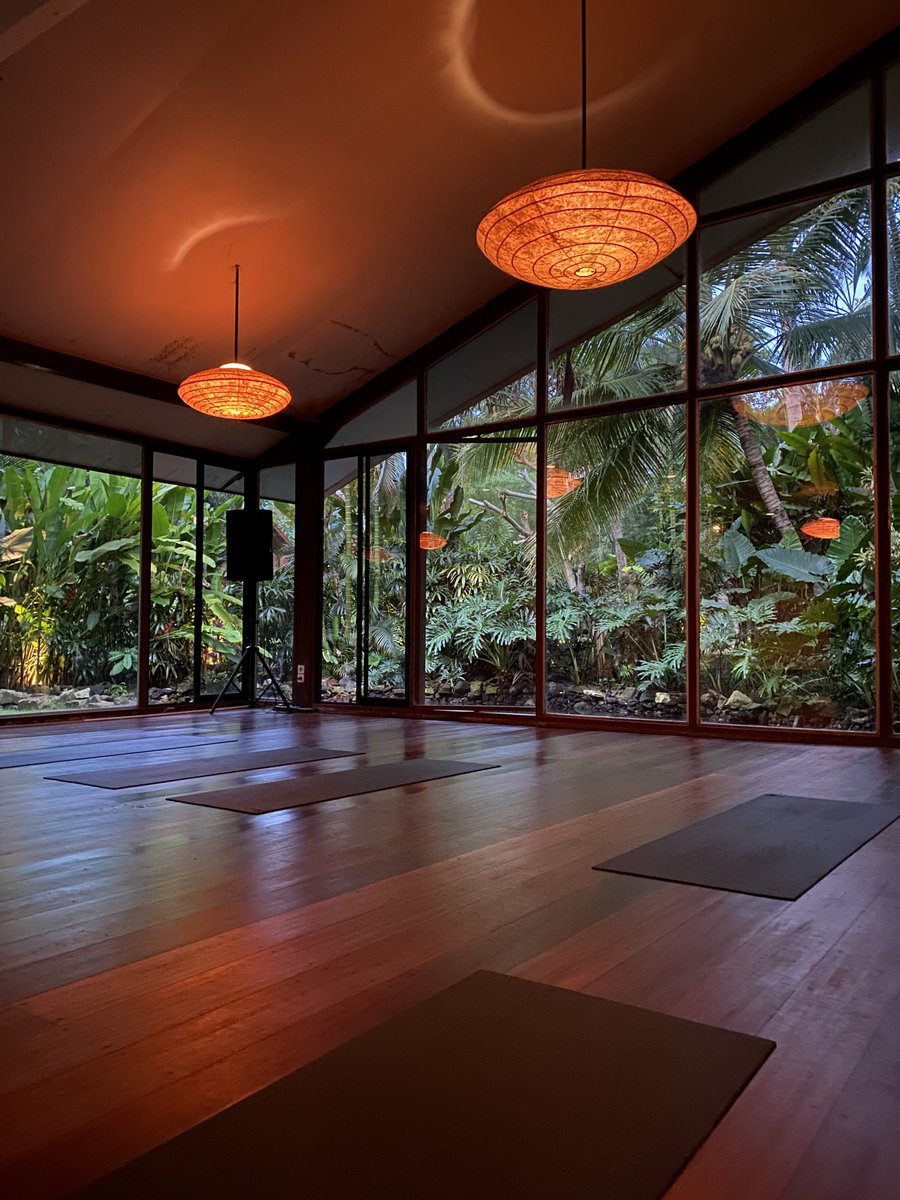ayuintansari's tweet photo. beautiful place to clean my mind🧘🏻‍♀️ #zenmoment #ipobelajaryoga 🍃 https://t.co/Uk8KlW06qV