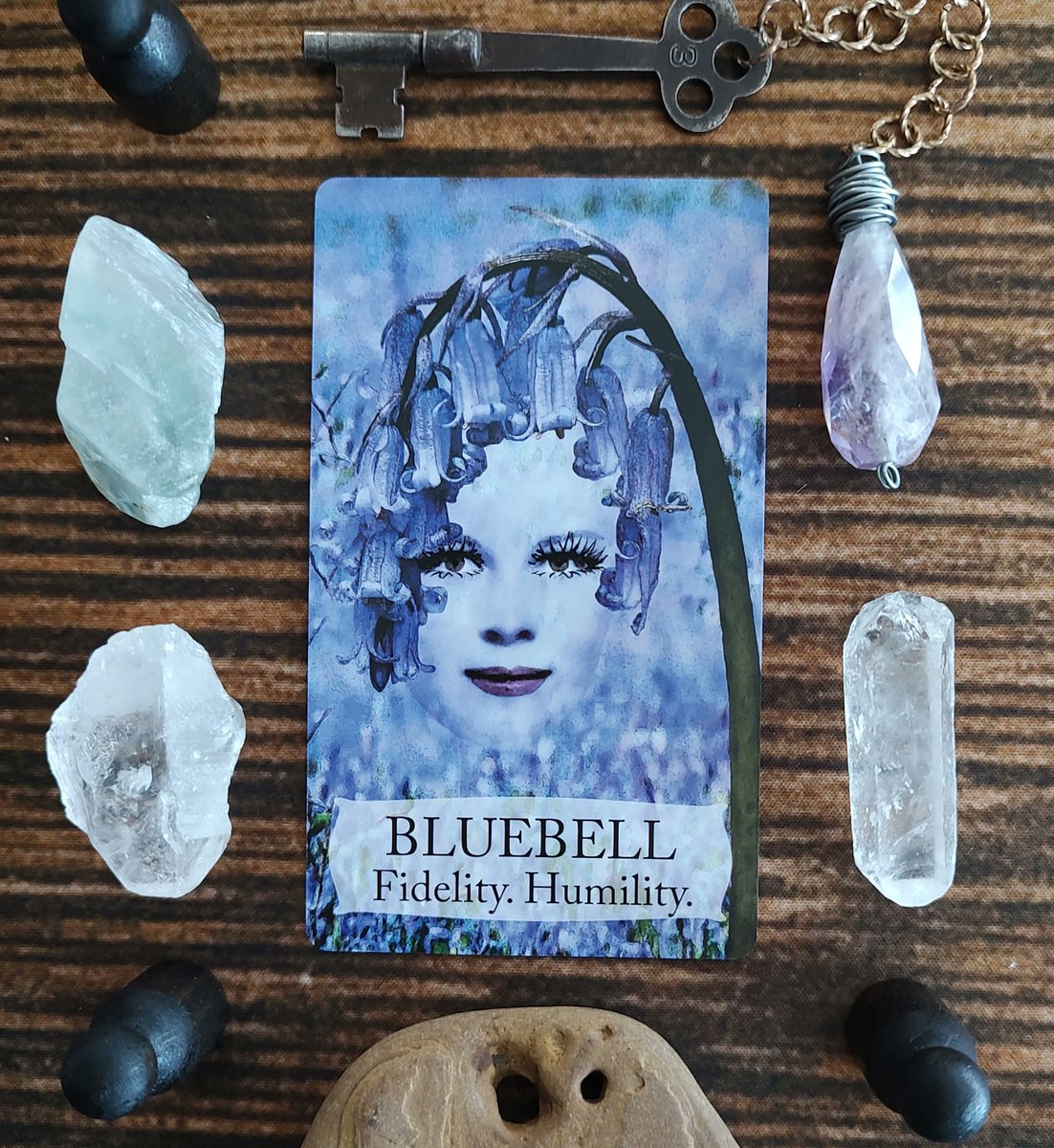 FairySurreal's tweet image. Loyalty is a valuable trait. When you invest in someone, you stand behind them through thick and thin. You are dedicated to the point of stubbornness #tarot  #floriography #botanicaloracle #floraloracle #victorianlanguageofflowers #bluebell  buff.ly/3zyzzJn