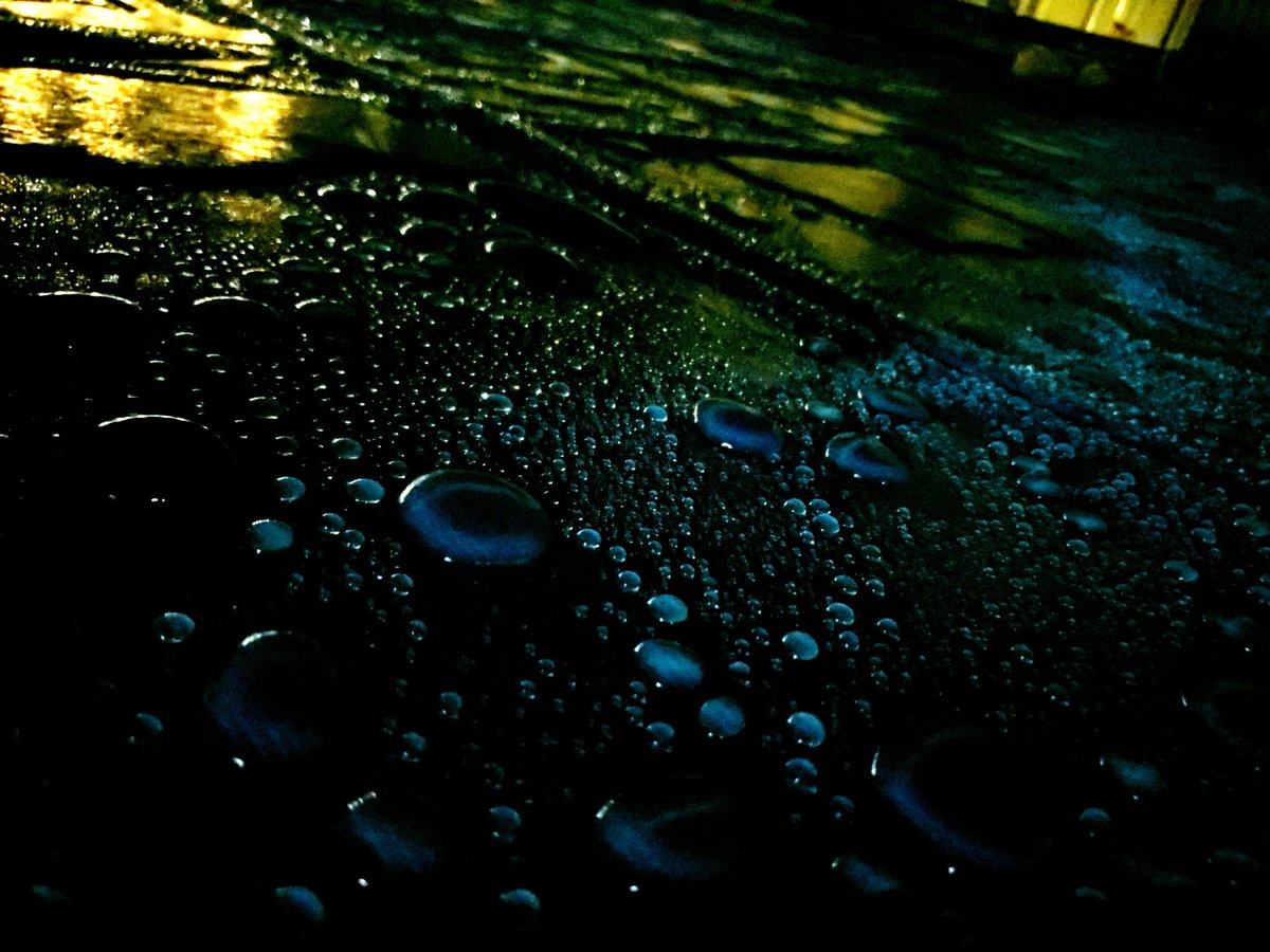 Shinotsuki_Rain's tweet photo. 雨粒は、蹲るだけ。

転がり方をも忘れて。 https://t.co/o8XSQBEfZ8