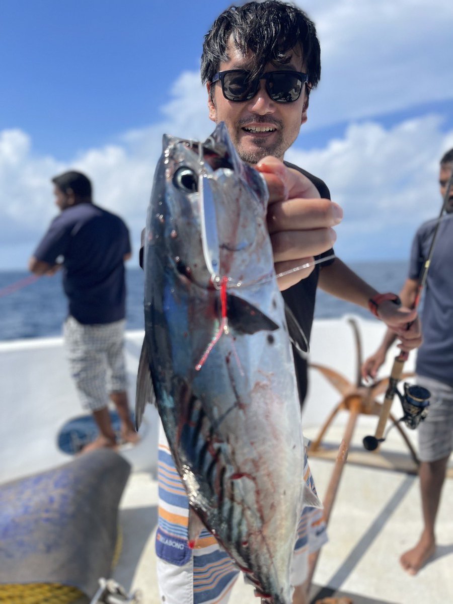 kyufurumi's tweet image. 先日のモルディブでの釣果🎣本当はもう少し釣っています😊海外でのジギングも楽しかった！
#BlueBlue 
#FalltenTG 
#ブルーブルー
#フォルテンTG
#めっちゃ釣れるぞ