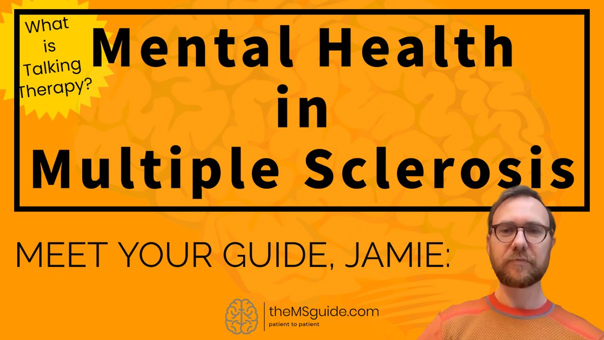 theMSguide.com 🧠 tweet media