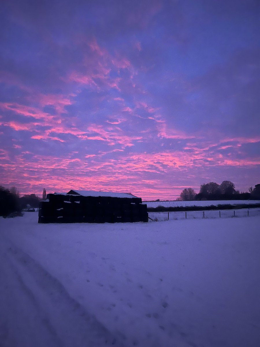 Graham wareham tweet media