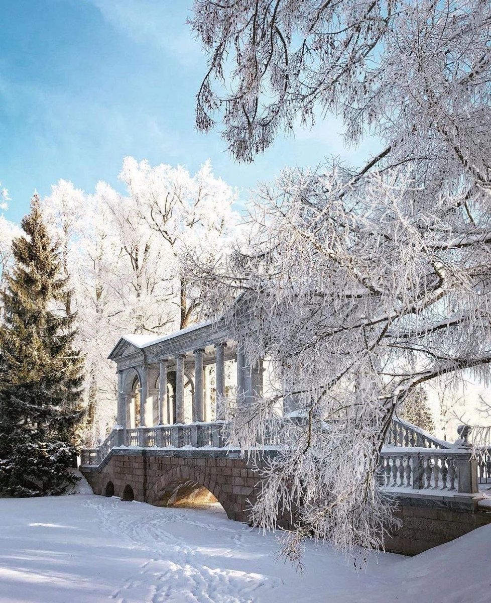 RusUslada's tweet photo. Заснеженный Пушкин прекрасен

Фото: maria_skrypnik.petersburg https://t.co/qqQViTdmv0