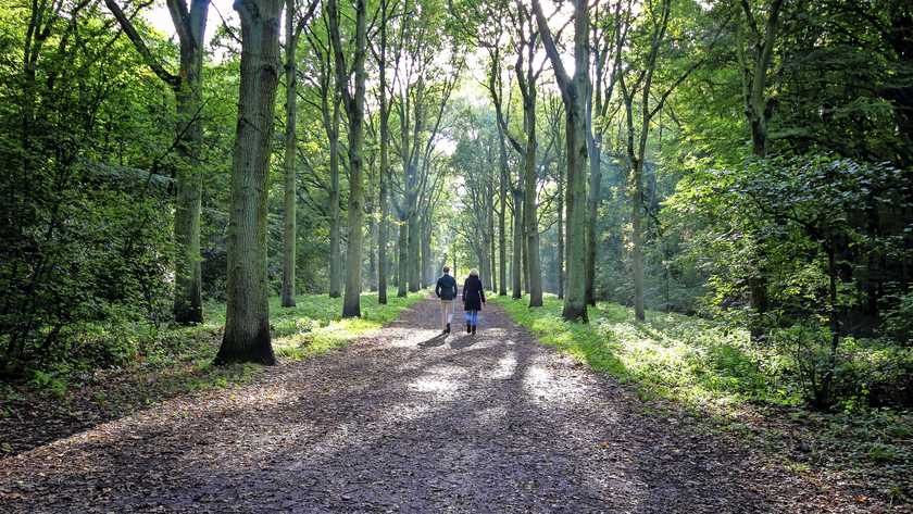 'Buiten zijn hielp tegen de depressie van Bart (26)' <a href="/telegraaf/">De Telegraaf</a> "Tachtigduizend Nederlanders wachten op een GGZ-behandeling. Om hen alvast wat soelaas te bieden is ’Het Groene Perspectief’ van start gegaan: werken of wandelen in de natuur".
telegraaf.nl/lifestyle/1370…