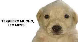 JuanPabloAB2's tweet photo. @wqueijeiro https://t.co/FKQ52YPzZv